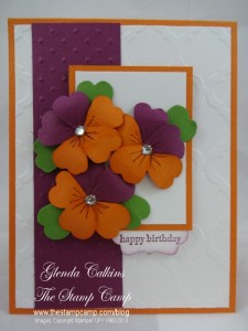 Orange and Rich Razzleberry Pansy