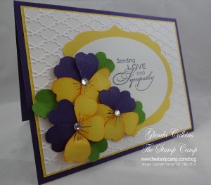 Pansies Side view