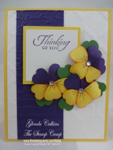 Yellow and Eggplant Pansy