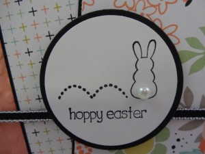 Close up Bunny