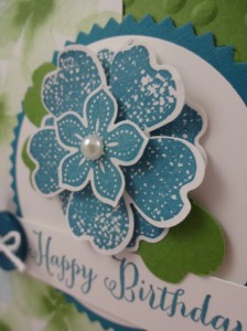 Close up Petite Petals