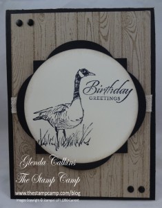 Wetlands Birthday