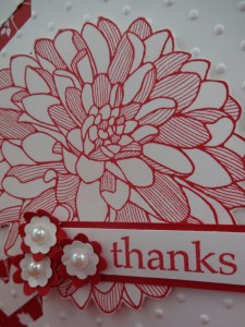 Dahlias Close Up