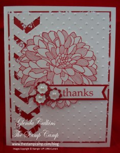 Regarding Dahlias