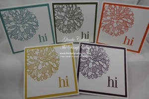 New In Colors