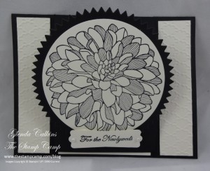 Regarding Dahlias For the Newlyweds