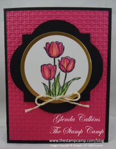 Melon Mambo Tulips