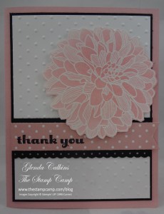 Blushing Bride Dahlias