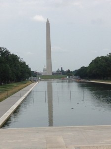 photo 2 (3)