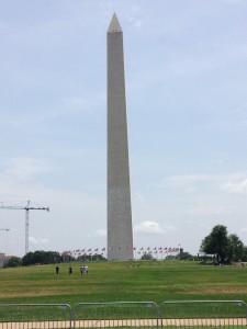photo 4 (3)