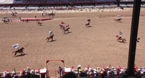 rodeo