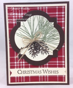 Ornamental Pine