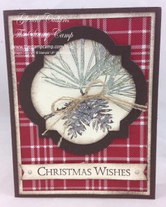 Stepped Up Ornamental Pines