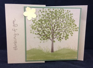 Sheltering Tree Zfold