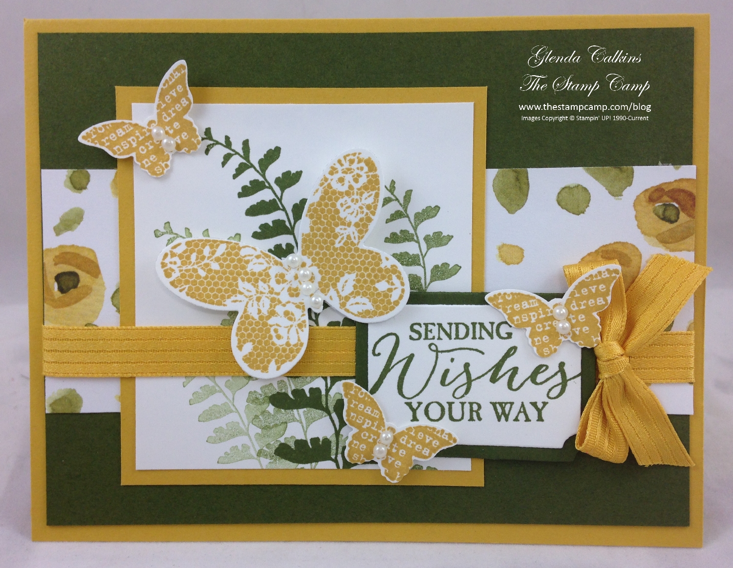 Butterfly Basics Weekly Deals!