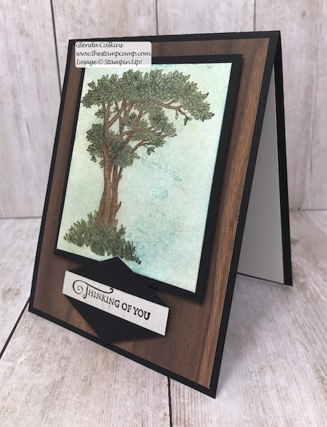 This is the Golden Afternoon stamp set from Stampin' Up! It is the perfect set to do the Faux Mother of Pearl technique with. Details: www.thestampcamp.com #stampinup #thestampcamp #techniques #cards