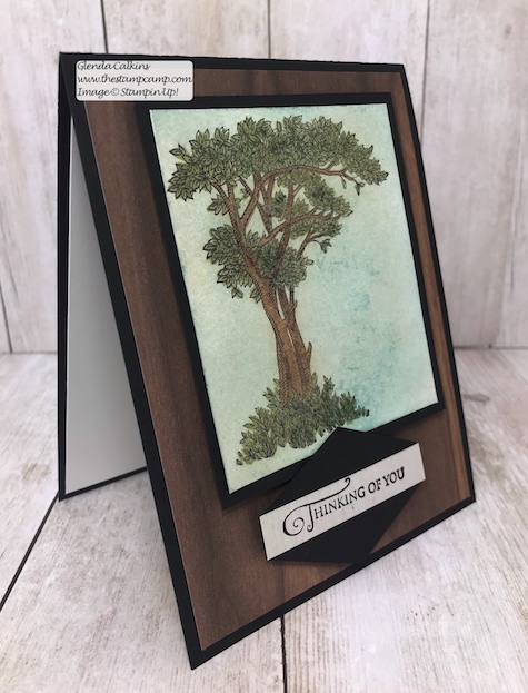 This is the Golden Afternoon stamp set from Stampin' Up! It is the perfect set to do the Faux Mother of Pearl technique with. Details: www.thestampcamp.com #stampinup #thestampcamp #techniques #cards