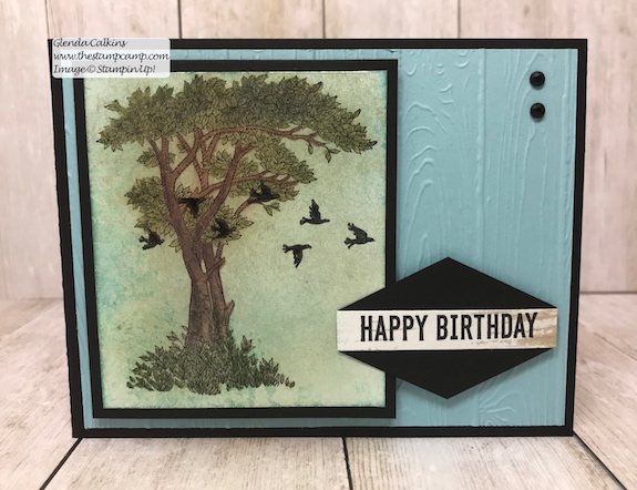 This is the Golden Afternoon stamp set from Stampin' Up! It is the perfect set to do the Faux Mother of Pearl technique with. Details: www.thestampcamp.com #stampinup #thestampcamp #techniques #cards