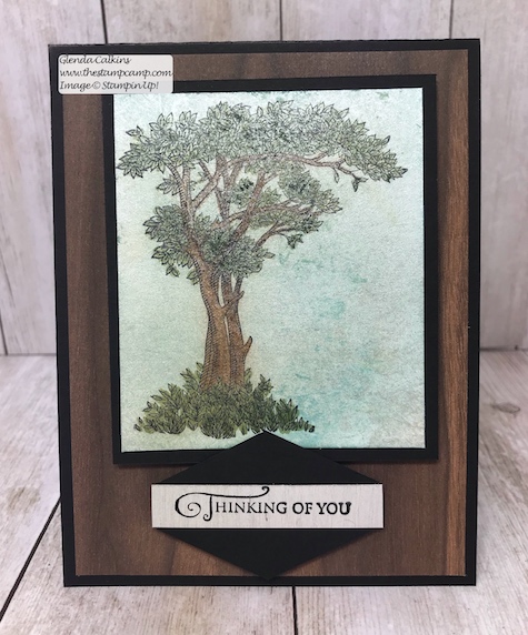 This is the Golden Afternoon stamp set from Stampin' Up! It is the perfect set to do the Faux Mother of Pearl technique with. Details: www.thestampcamp.com #stampinup #thestampcamp #techniques #cards