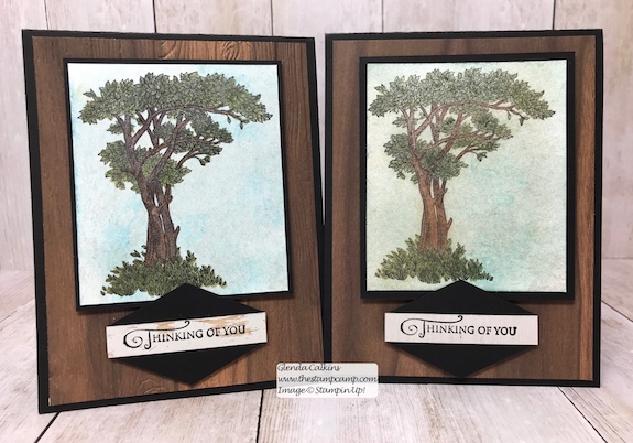 This is the Golden Afternoon stamp set from Stampin' Up! It is the perfect set to do the Faux Mother of Pearl technique with. Details: www.thestampcamp.com #stampinup #thestampcamp #techniques #cards