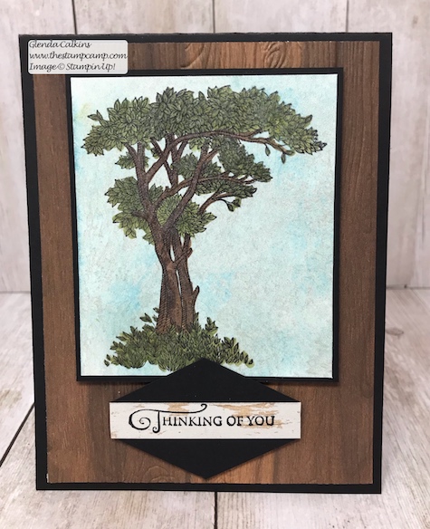 This is the Golden Afternoon stamp set from Stampin' Up! It is the perfect set to do the Faux Mother of Pearl technique with. Details: www.thestampcamp.com #stampinup #thestampcamp #techniques #cards