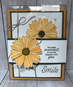 Stampin' Up! In Colors in Daisy Lane All Boxed Up!