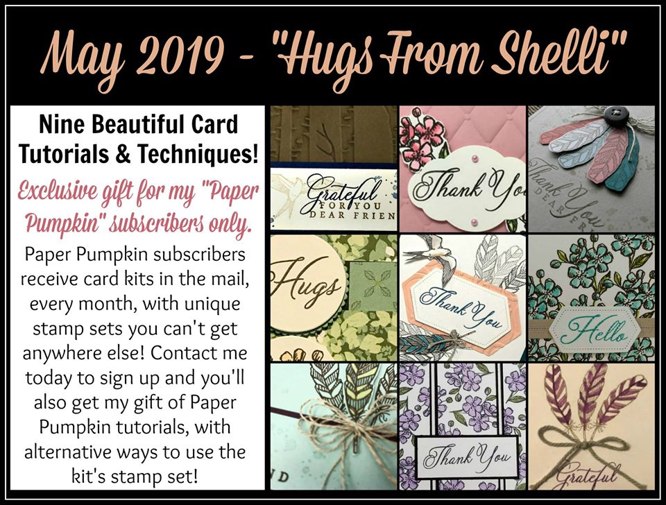 Paper Pumpkin kits are the quickest and easiest way to create a bunch of cards or give as a gift. visit my blog: www.thestampcamp.com for details #stampinup #thestampcamp #glendasblog #cardkit