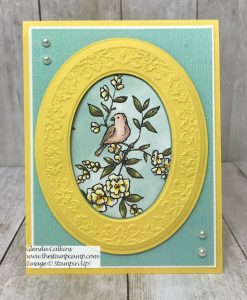 Bird Ballad Paper & Heirloom Dies/Embossing Folder
