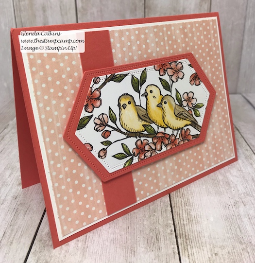 This is the Free As A Bird Bundle from Stampin' Up! This is my featured stamp set for July. Details can be found here: https://wp.me/p59VWq-ab3 #thestampcamp #stampinup #freeasabird #birdballad