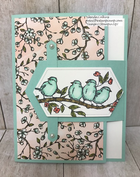 This is my featured stamp set for July. This is a bit of a different fun fold card. I call it a belted card. Details can be found here: https://wp.me/p59VWq-agD #thestampcamp #stampinup #freeasabird #birdballad