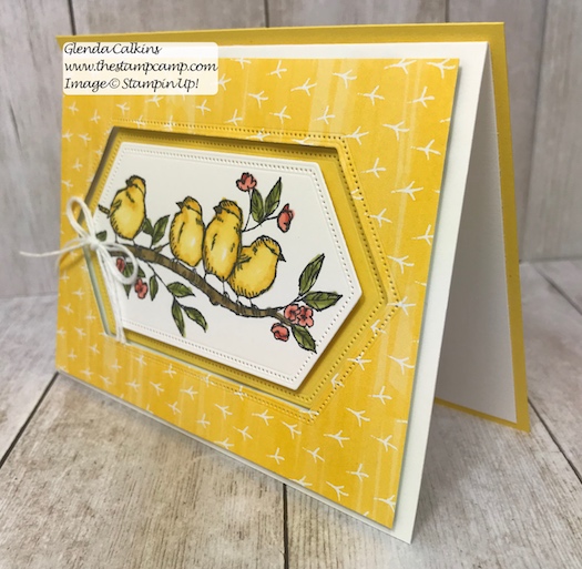 This is my featured stamp set for July. This is a bit of a different fun fold card with a peek a boo window. Details can be found here: https://wp.me/p59VWq-afN #thestampcamp #stampinup #freeasabird #birdballad
