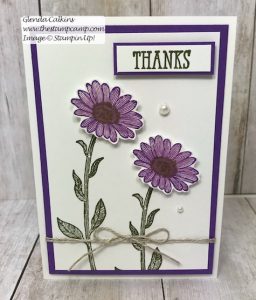 Daisy Lane Bundle Thank You Cards!
