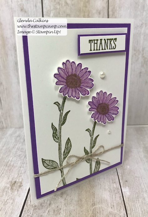 This was my featured stamp set for June. This is the Daisy Lane Bundle from Stampin' Up! Details on my blog here: https://wp.me/p59VWq-acY #stampinup, #thestampcamp, #daisylane #daisy 