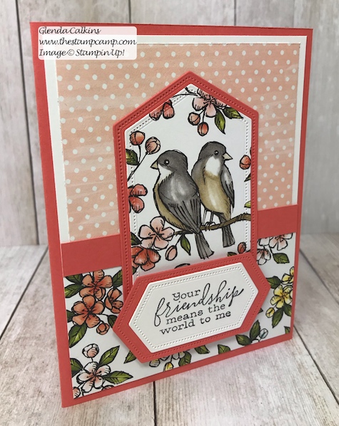 This is my featured stamp set for July. Details can be found here: https://wp.me/p59VWq-ad4 #thestampcamp #stampinup #freeasabird #birdballad