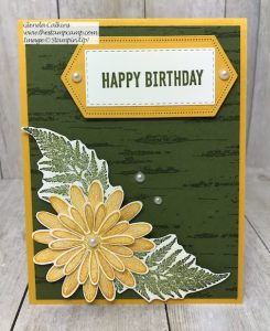 Birch Background and Daisy Lane