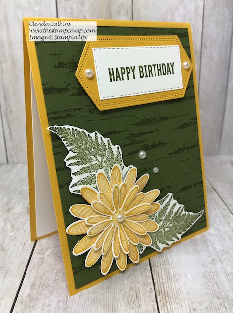 This is the Daisy Lane Bundle from Stampin' Up! with the Birch Background stamp. Details on my blog here: https://wp.me/p59VWq-alW #stampinup #thestampcamp #birch #daisylane