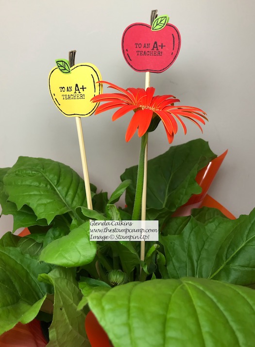 When you give your favorite teacher a gift card make sure to give her a plant as well for her desk with a beautiful plant stake. Details on my blog here: https://wp.me/p59VWq-an7 #stampinup #harvesthellos #thestampcamp #teachergift