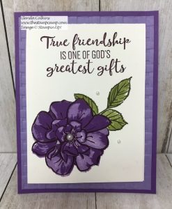 To A Wild Rose stamp set from Stampin' Up! perfect for so many occasions. Details are on my blog here: https://wp.me/p59VWq-aox #stampinup #toawildrose #rose #thestampcamp