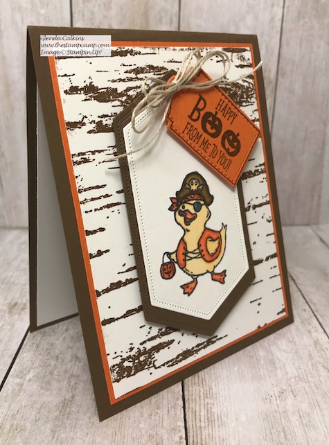I've paired the Birds of a Feather stamp set with the Tags, Tags, Tags, stamp set to create this fun Halloween card. Details on my blog here: https://wp.me/p59VWq-atv #halloween #birdsofafeather #thestampcamp #stampinup