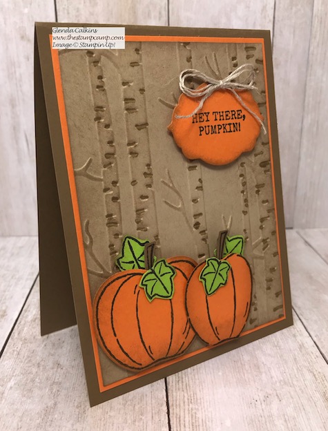 The Trio of Tags Dies aren't just for the Tags Tags Tags stamp set from Stampin' Up! Mix them up with other stamp sets and embossing folders. details on my blog:https://wp.me/p59VWq-ar1 #stampinup #dies #framelits #thestampcamp