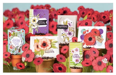 Shop the New Mini catalog from Stampin' UP! Details on my blog here: https://wp.me/p59VWq-aGh