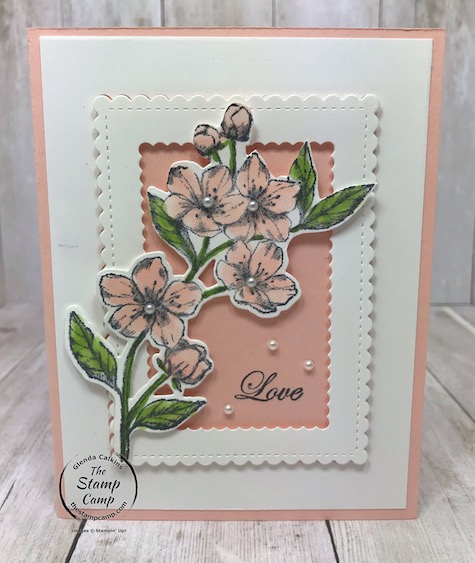 These were created during my facebook and youtube live event. If you would like the details you will find them on my blog here: https://wp.me/p59VWq-aPN #stampinup #thestampcamp #foreverblossoms