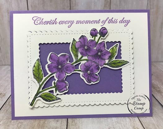 I paired the Stitched So Sweetly Dies with my featured stamp set for March 2020 the Forever Blossoms Bundle. Details are on my blog here: https://wp.me/p59VWq-aPw . #stampinup #stitchedsosweetly #foreverblossoms #thestampcamp