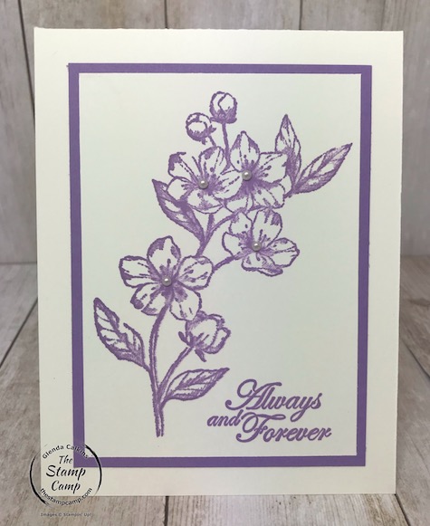 My featured stamp set this month is the Forever Blossoms bundle. These are the 5 In Colors for 2019-2021. Details can be found on my blog here: https://wp.me/p59VWq-aQm #stampinup #thestampcamp #incolors #foreverblossoms #simplestamping