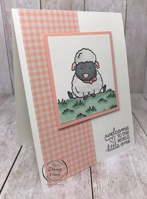 Welcome Little One from the Welcome Easter stamp set isn't just for Easter. Details are on my blog: https://wp.me/p59VWq-aQM #stampinup #baby #thestampcamp #welcomeeaster