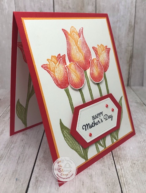 Two Toned stamping with the Timeless Tulips stamp set for Mother's Day. Details are on my blog here: https://wp.me/p59VWq-aW5 . #stampinup #mothersday #thestampcamp #timelesstulips