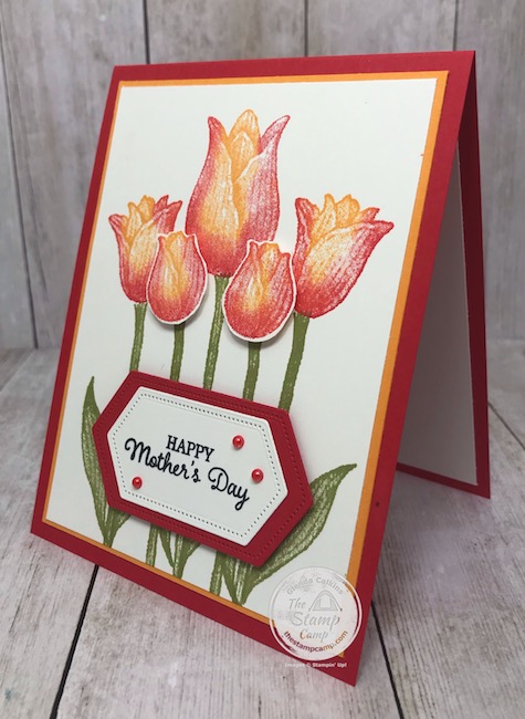 Two Toned stamping with the Timeless Tulips stamp set for Mother's Day. Details are on my blog here: https://wp.me/p59VWq-aW5 . #stampinup #mothersday #thestampcamp #timelesstulips