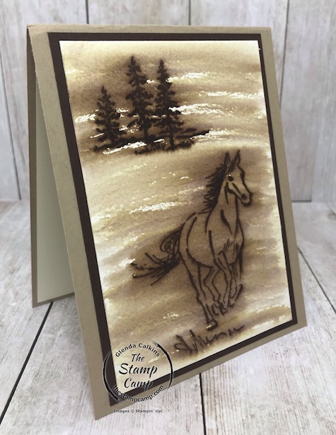 Tuesdays Tips and Techniques is the Faux Wood Burning technique using the Let's Ride stamp set. This set is on the retired list so you will need to order it before June 3rd. Details are on my blog here: https://wp.me/p59VWq-bdZ. #stampinup #thestampcamp #horsestamp #letsride #technique