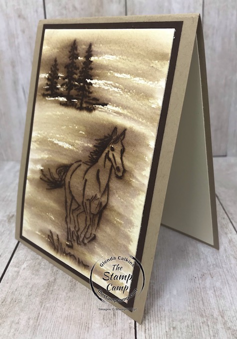 Tuesdays Tips and Techniques is the Faux Wood Burning technique using the Let's Ride stamp set. This set is on the retired list so you will need to order it before June 3rd. Details are on my blog here: https://wp.me/p59VWq-bdZ. #stampinup #thestampcamp #horsestamp #letsride #technique