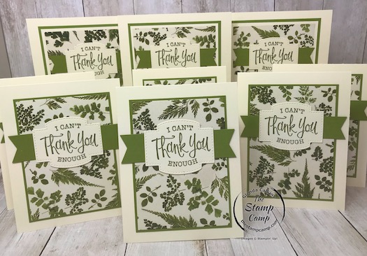 These cards are from the Pressed Petals Designer Series Paper and the So Sentimental Bundle. Details are on my blog here: https://wp.me/p59VWq-beA. #stampinup #pressedpetals #thestampcamp #onesheetwonder